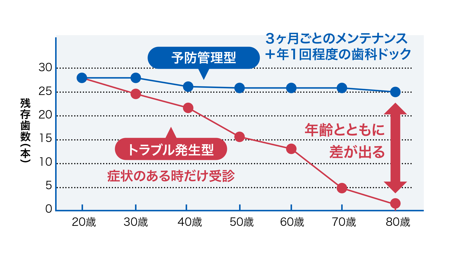 歯科医院のかかり方で変わる残存歯数