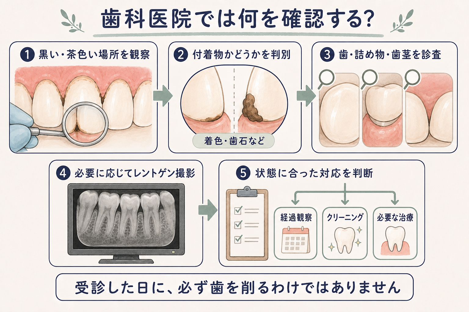 歯科医院での確認箇所イメージ図